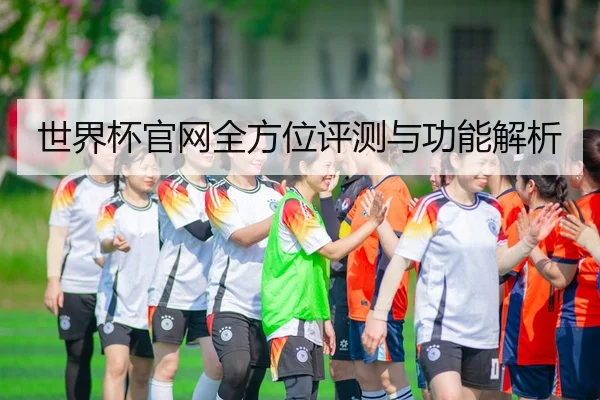 世界杯官网全方位评测与功能解析