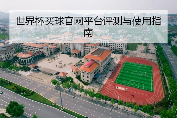 世界杯买球官网平台评测与使用指南