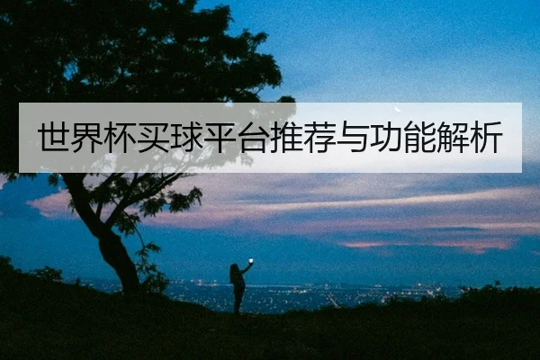世界杯买球平台推荐与功能解析