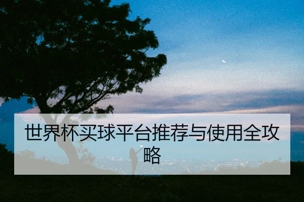 世界杯买球平台推荐与使用全攻略