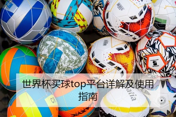世界杯买球top平台详解及使用指南