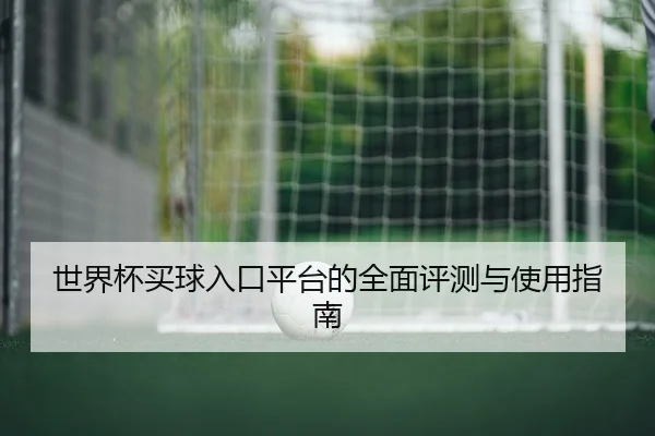 世界杯买球入口平台的全面评测与使用指南