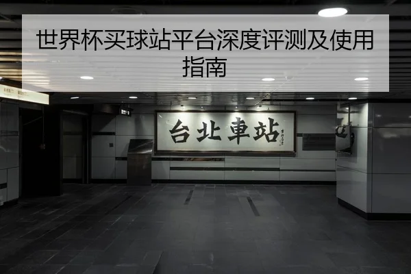世界杯买球站平台深度评测及使用指南